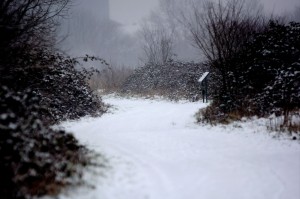 Path in snow